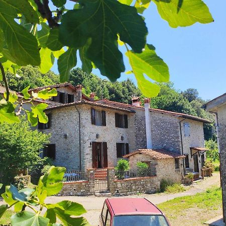 Cara House Tuscany - Zona Lucca Chiatri 외부 사진