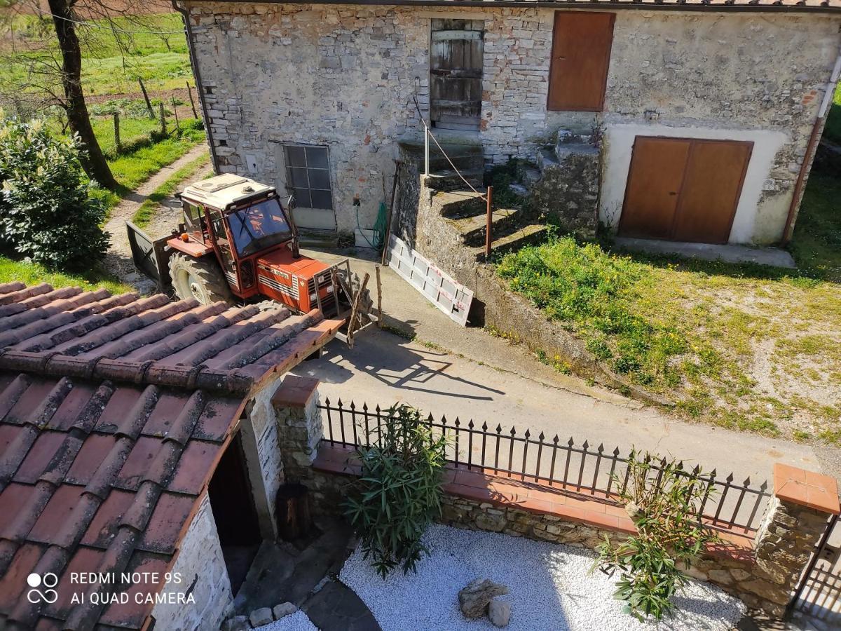 Cara House Tuscany - Zona Lucca Chiatri 외부 사진
