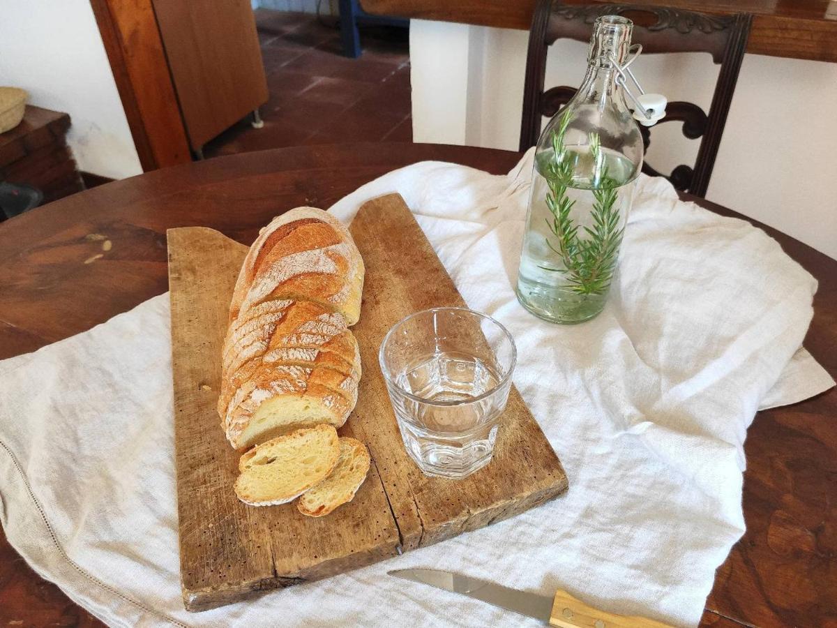 Cara House Tuscany - Zona Lucca Chiatri 외부 사진